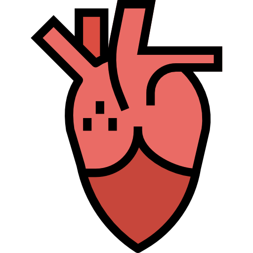 Cardiology